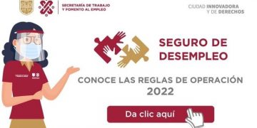 Para acceder al seguro de desempleo se debe acreditar la pérdida del empleo: Rodríguez