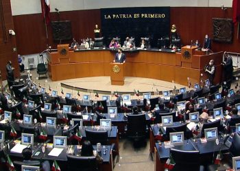Grupo Plural condiciona aprobar reforma eléctrica si hay cirugía mayor
