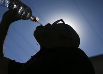 Los últimos siete años han sido los más cálidos desde que existen registros