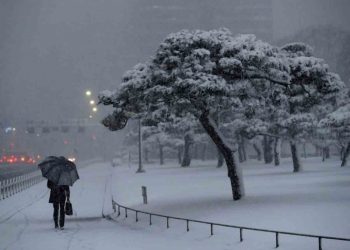 Al menos 100 vuelos cancelados en Tokio por inusual nevada