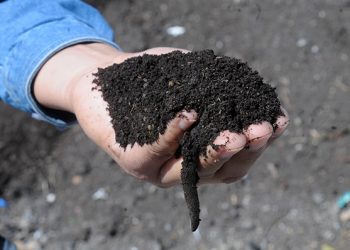 Enfoque al Instante: Regenera la UNAM suelos a través de la composta