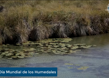 Enfoque al Instante: Día Mundial de los Humedales