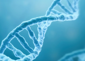 El ADN antiguo revela datos de cómo vivían los humanos en África