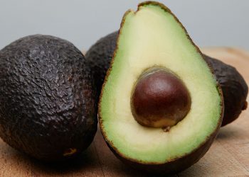 Más de 300 mil personas dependen de la producción, venta y distribución del aguacate en Michoacán: Sandoval