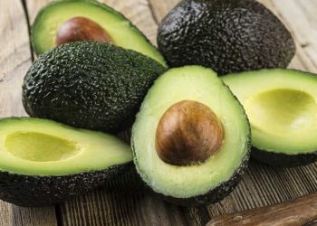 México exportó cifra récord de aguacate en 2021