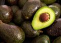 Adelanta Segob que exportación de aguacate a EU se reanudaría la próxima semana