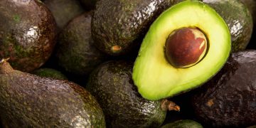 Adelanta Segob que exportación de aguacate a EU se reanudaría la próxima semana
