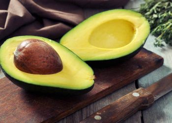 Se exportaron más de 135 mil toneladas de aguacate a Estados Unidos: José Luis Gallardo