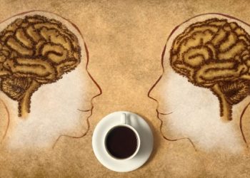 ¿Existe una relación entre el café y la memoria? Especialistas de Harvard nos lo aclaran