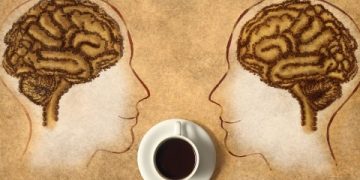 ¿Existe una relación entre el café y la memoria? Especialistas de Harvard nos lo aclaran