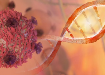 Casos de cáncer en América pueden subir un 60 % para 2040 si no hay medidas