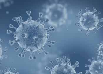 Descubren cinco compuestos que inhiben la proteína que replica el SARS-CoV-2