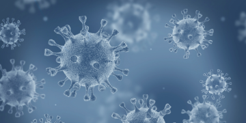 Descubren cinco compuestos que inhiben la proteína que replica el SARS-CoV-2
