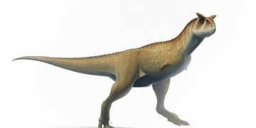 Encuentran restos de dinosaurio sin brazos