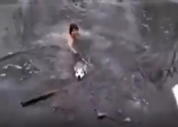 Mujer entra en agua helada para salvar a perrito atrapado