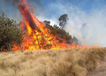 GCDMX dice estar listo para atender incendios forestales