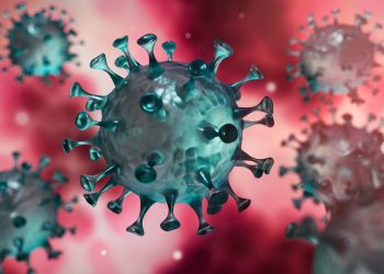 Mutaciones genéticas pueden reducir la inmunidad celular ante el coronavirus