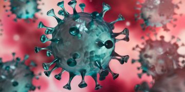 Mutaciones genéticas pueden reducir la inmunidad celular ante el coronavirus