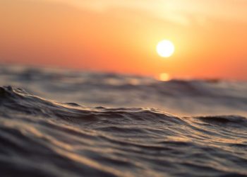 La mayor parte de los océanos han experimentado calor extremo