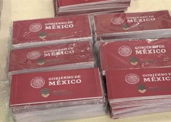 Los programas sociales en México son vulnerables a la corrupción: Rodríguez