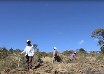 Muchísima gente está a favor del proyecto minero en  Ixtacamaxtitlán, Puebla: Herrera