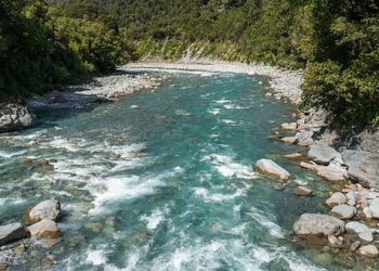 La contaminación por fármacos alcanza a los ríos de todo el mundo