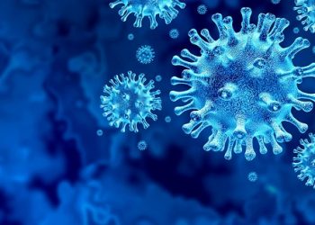 Con modelo de nariz humana detectan cómo comienza la infección por SARS-COV-2