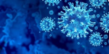 Con modelo de nariz humana detectan cómo comienza la infección por SARS-COV-2