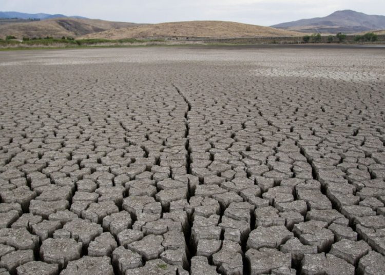 Cracks form in a drying Little Washoe Lake.
As the drought continues on the west coast lake levels drop, and are no longer capable of sustaining fish. (Photo by Ty O'Neil / SOPA Images/Sipa USA)No Use Germany.
