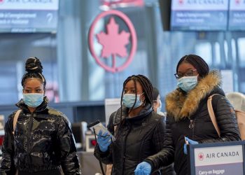Alerta en Canadá por hantavirus: Rastrean a 36 personas tras brote en crucero