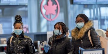 Alerta en Canadá por hantavirus: Rastrean a 36 personas tras brote en crucero