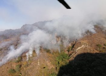 ¡Se responsable con el medio ambiente! Por temperaturas altas y descuidos humanos comienzan los incendios forestales