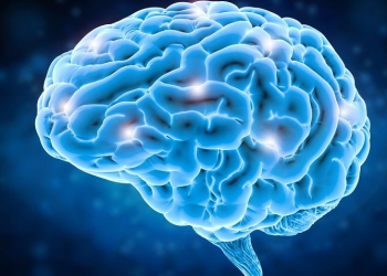 ¿Qué es la afasia? enfermedad que ha retirado a Bruce Willis. Te contamos