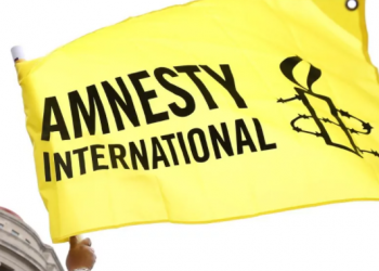 Amnistía lamenta respuesta de México a resolución de Eurocámara sobre prensa