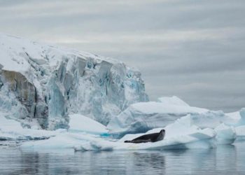 Energía solar provoca rápido retroceso anual del hielo marino antártico