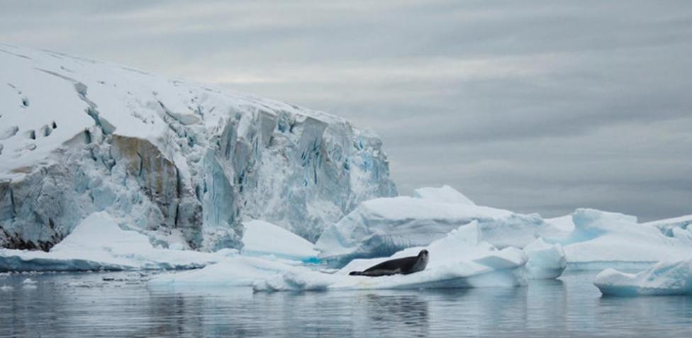 Energía solar provoca rápido retroceso anual del hielo marino antártico -  Enfoque Noticias