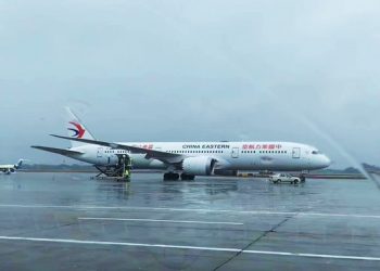 Avión con 132 personas a bordo se estrella en el sur de China