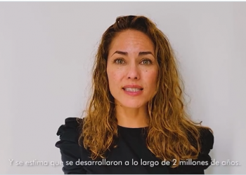 No necesitamos un tren, necesitamos conservar nuestro territorio dicen artistas en video contra el Tren Maya