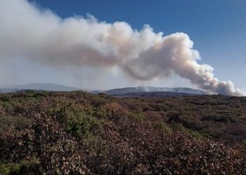 Activan alerta atmosférica en Guadalajara por incendio en el Bosque La Primavera