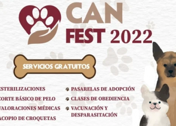 Este fin de semana la Alcaldía Cuauhtémoc ofrece vacunas y esterilización gratis para perros y gatos
