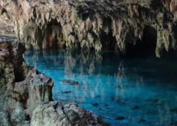 Cambio del tramo 5 del Tren Maya atenta contra el sistema de cenotes más largo del mundo
