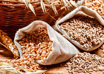 OMC pide a países acaparadores de cereal liberar reservas para bajar precios