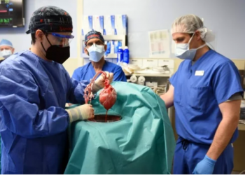 Muere el primer paciente que recibió un trasplante de corazón de cerdo