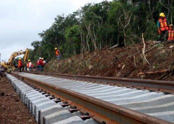 Construcción del Tren Maya está dejando gran deforestación: Laura Patiño