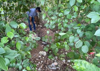 Hallan cinco cuerpos en fosa clandestina en Cancún