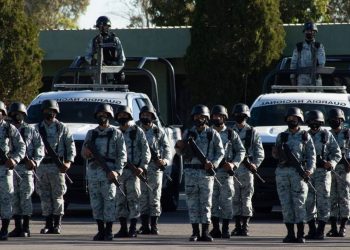 Podrán presentar cifras positivas en diversos delitos, pero en el combate al crimen organizado no y es preocupante: Benítez