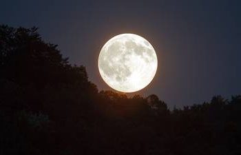 ¿Cuándo y dónde ver la Luna de Gusano?