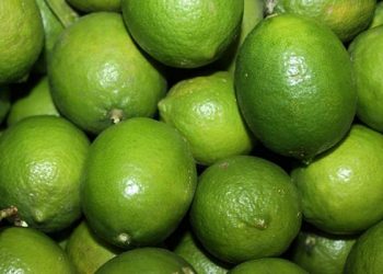 ¿Necesitas limones? Profeco publica los lugares donde está más barato