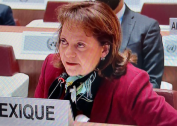 México ve con preocupación el agravamiento de la situación humanitaria en Ucrania: Martha Delgado