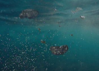 Microplásticos de los ríos europeos pueden acumularse en el océano Ártico